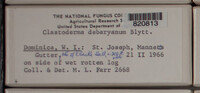 Image Associated With the Occurence